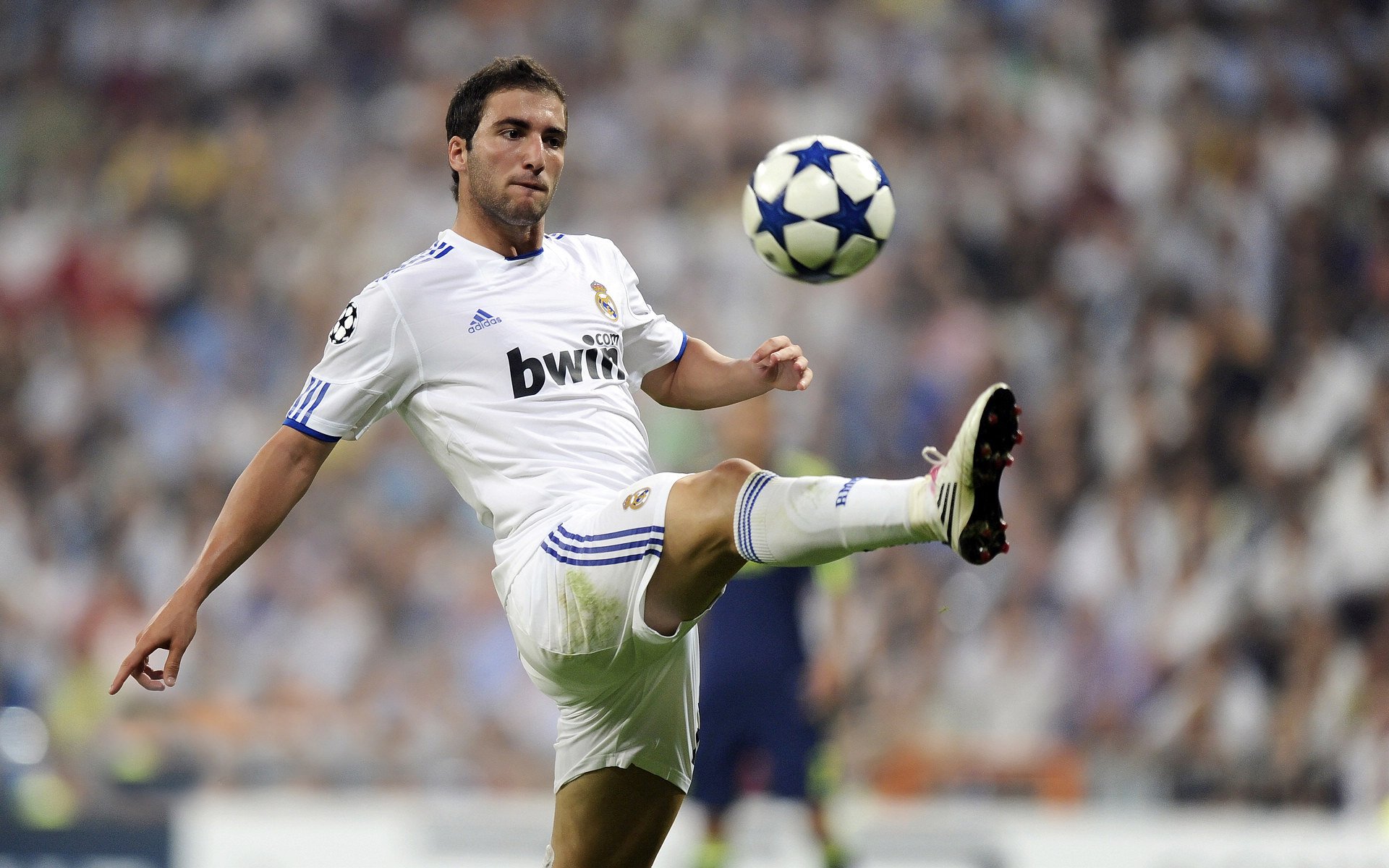 开云网址-世界杯惊天逆转：奇迹瞬间点燃全场！，世界杯的惊喜